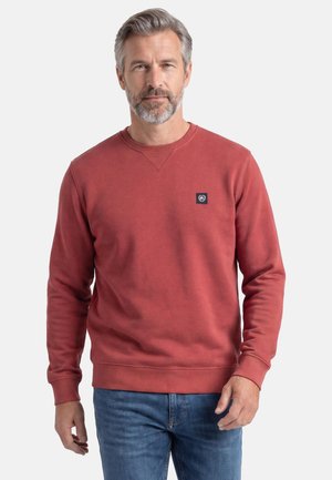 Midaldrende mand med gråt hår og skæg iført en rød rundhals sweatshirt og blå jeans, stående mod en ensfarvet baggrund.