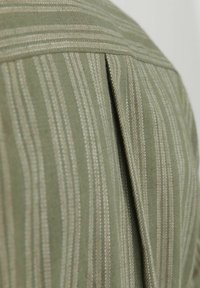 Țesătură verde cu dungi, având o textură moale. Prezintă o plișare în spate și un guler structurat, cu dungi subțiri de culoare deschisă.
