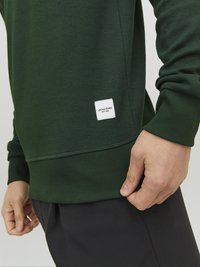 Jack & Jones UNISEX - Sweatshirt - mountain view