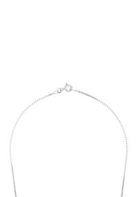 Collana a catena d'argento con un gancio a molla rotondo su uno sfondo bianco semplice.