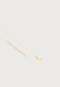 Κολιέ με χρυσή αλυσίδα με μικρούς οβάλ κρίκους και κούμπωμα με κλειδαριά αστακού, σε ανοιχτό γκρι φόντο.