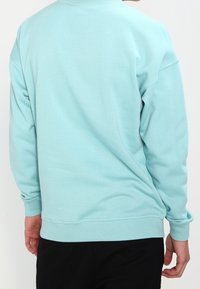 Sudadera verde menta con un cuello redondo, puños y dobladillo acanalados, y un corte relajado. Fabricada con tela suave, que muestra una textura lisa.