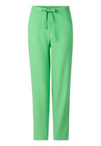 Rich & Royal Pantaloni - frog green