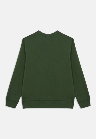 Zelená mikina vyrobená z bavlny, s okrúhlym výstrihom, dlhými rukávmi a rebrovanými manžetami a lemom. Hladká textúra bez vzorov alebo akcentov.