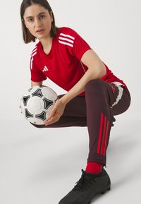 adidas Performance FC BAYERN M�NCHEN TRAINING PANT W - Športne kratke hlače - shadow maroon/red