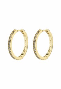 EBNA CRYSTAL HOOP - Auskari - gold