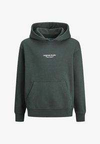 Nevybráno, forest river