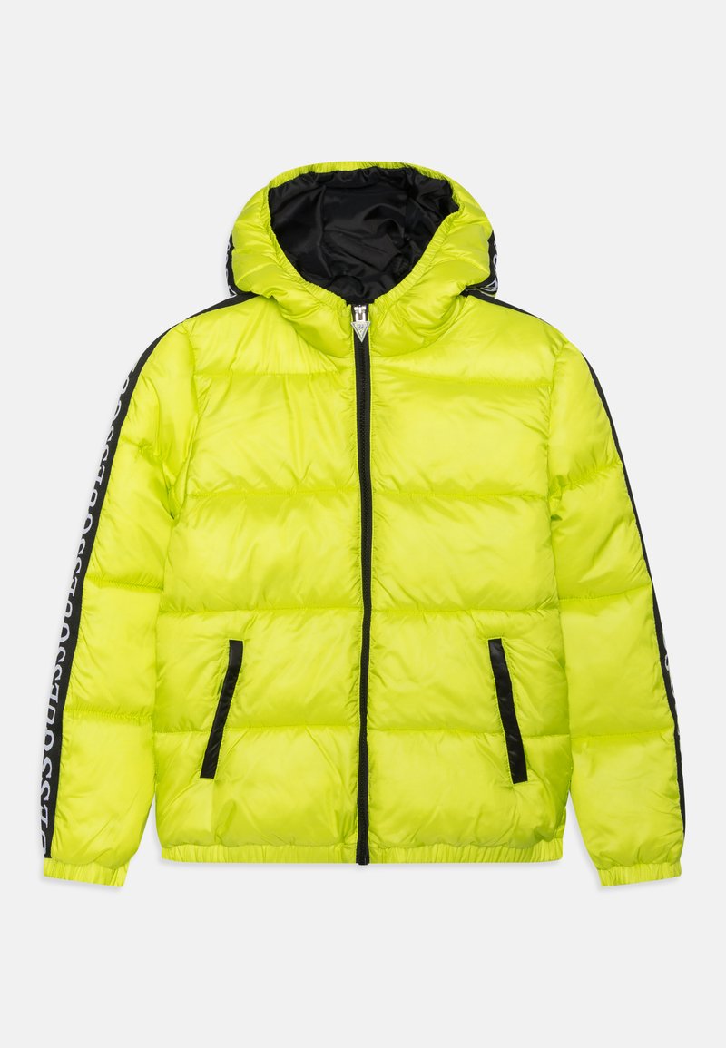 Guess JUNIOR PADDED Vinterjacka neon/neongrön Zalando.se