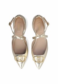 Des ballerines dorées métalliques à bout pointu comportent un talon plat, une bride à la cheville et une boucle de logo proéminente sur l'orteil. Texture lisse sur toute la surface.