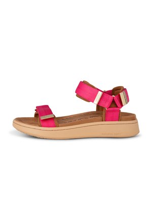 LINE - Sandale za hodanje - pitaya