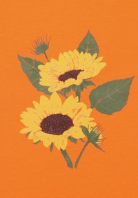 Yellow sunflowers with dark centers and green leaves on a bright orange background. The petals are broad with a textured appearance.
