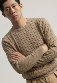 Suéter beige de punto trenzado con puños y cuello acanalados. Presenta patrones en relieve de trenzado y un ajuste relajado. Adecuado para un estilo casual.