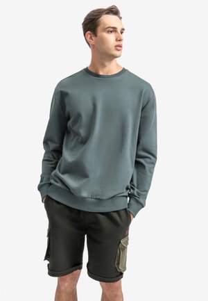 Grijsblauwe sweatshirt met een ronde hals en geribbelde manchetten, gecombineerd met donkergroene cargoshorts met zijzakken en opgerolde randen.