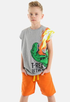 SET - Shorts - mehrfarbig