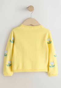 Dzeltena adīta džempera ar balto tulpju izšuvumu uz piedurknēm. Aprīkota ar apaļu kakla izgriezumu un ribveida aprocēm un apakšmalu. Gluda tekstūra.