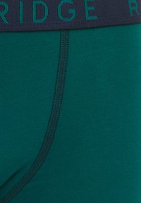 Zeleni bombažni bokserice s mornarsko modrim elastičnim pasom, ki vsebuje kontrastno besedilo, gladko teksturo in podrobnosti flatlock šivanja.