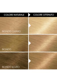 Carta dei colori dei capelli con quattro pannelli orizzontali. Visualizza colori naturali: biondo chiaro, biondo scuro e castano scuro, con le relative tonalità ottenute.