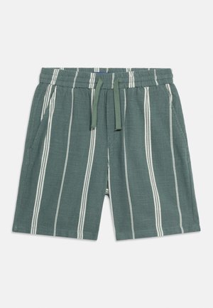 Short vert avec des rayures blanches verticales, taille élastique, cordon de serrage et poches latérales, posé à plat sur un fond blanc.