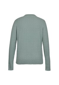 U.S. Polo Assn. GILL - Kardigan - green milliue