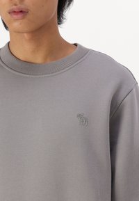 Abercrombie & Fitch ICON - Sweatshirt - frost gray