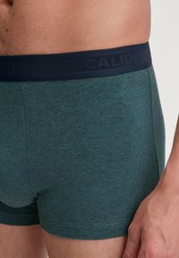 Boxershorts gemaakt van gestructureerde groene stof met een navy tailleband waarop de merknaam "GALIDA" is geëtst. Close-up weergave.