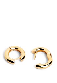 Orecchini a cerchio in oro con una finitura lucida. Forma circolare con un'apertura per una chiusura sicura. Design minimalista con una superficie liscia.