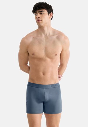 Męskie bokserki wykonane z gładkiej, miękkiej, szarej tkaniny. Posiadają szeroki, przeszywany pas z wytłoczonym logo, długość do połowy uda oraz brak widocznych wzorów.