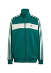 BLOCKED - Sweat zippé - collegiate green semi green spark