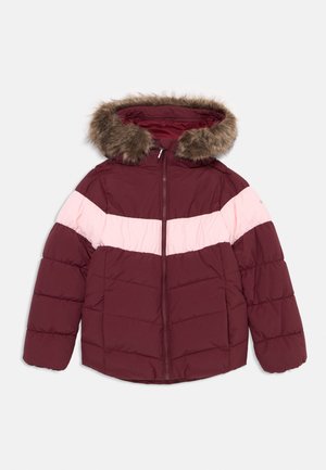 ARCTIC BLAST JACKET UNISEX - Giacca da sci - rich wine/pink