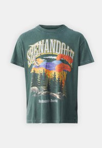 Abercrombie & Fitch NATIONAL PARKS - Print T-shirt - scarab/acid wash