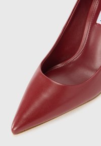 Steve Madden THRIVE - High heels - wine