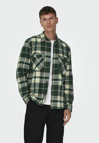 Camisa de franela a cuadros en verde y crema con dos bolsillos en el pecho, cierre de botones en el frente y mangas largas, llevada sobre una camisa blanca.