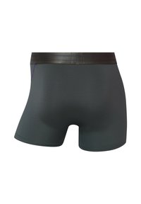 Men's boxer briefs in dark gray fabric, featuring a smooth texture, elastic waistband with purple stripes, and a fitted design.