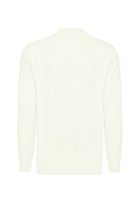 Hellfarbener Strickpullover mit langen Ärmeln, rundem Ausschnitt und einer Rückenverschluss mit zwei Knöpfen. Weicher Stoff und schlichtes Design.
