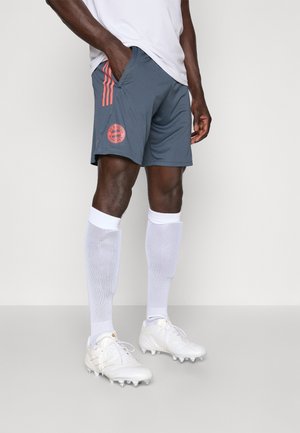 adidas Performance FC BAYERN TIRO25 COMPETITION TRAINING SHORTS - Sporto klubų atributika - bold onix