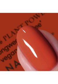 Immagine in miniatura 2