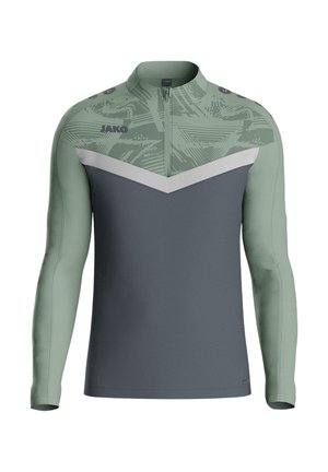 JAKO ICONIC HALFZIP - Felpa - graugruen