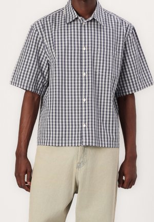 Homme portant une chemise à manches courtes boutonnée avec un motif à carreaux bleu et blanc et un pantalon beige clair, montré du cou jusqu'à mi-cuisse.