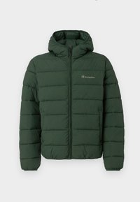 PADDED OUTDOOR JACKET - Winterjas - dark green