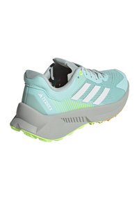 Adidas Terrex SOULSTRIDE FLOW TRAIL - Scarpe da corsa su strada - seflaq crywht wonsil