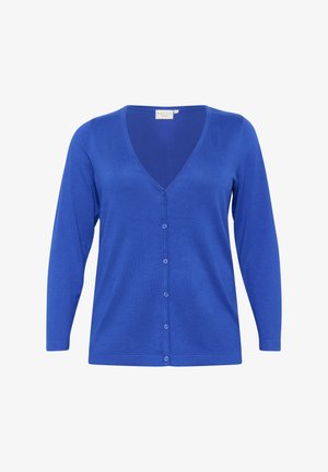 Cardigan blu a maglia con maniche lunghe, scollo a V e chiusura frontale con bottoni. Texture liscia, design minimale e colore uniforme.