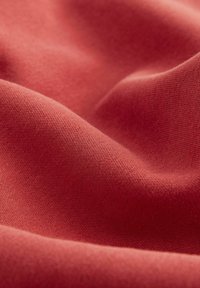Next Sweatshirt - rust red