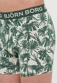 Moške bokserice v krem barvi z zelenim potiskom palm. Imajo elastičen pas z logotipom "BJÖRN BORG" v sivi barvi. Mehka tekstura, prilegajoč dizajn.