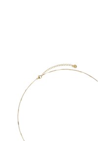 Collier en chaîne dorée avec un design délicat et fin. Équipé d'un fermoir à mousqueton et d'une longueur ajustable avec une petite chaîne d'extension.