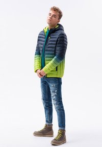 Ombre Giacca da mezza stagione - navy green
