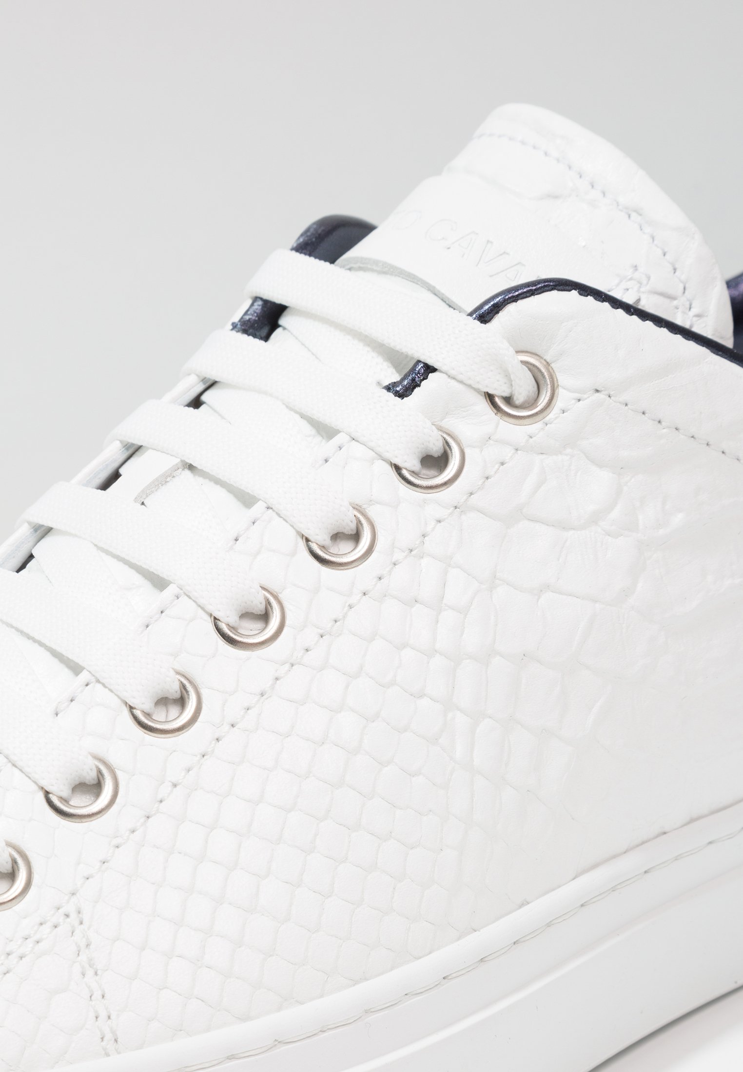 roberto cavalli trainers womens