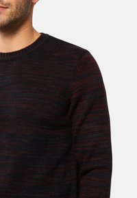 Uomo che indossa un maglione a righe di color bordeaux scuro e nero, che mostra la parte superiore del torso e parte del volto su uno sfondo bianco.