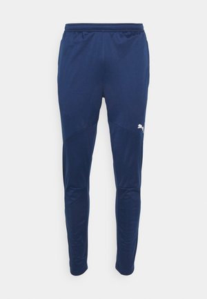 INDIVIDUAL WINTERIZED PANTS - Jogginghose - persian blue/eucalyptus