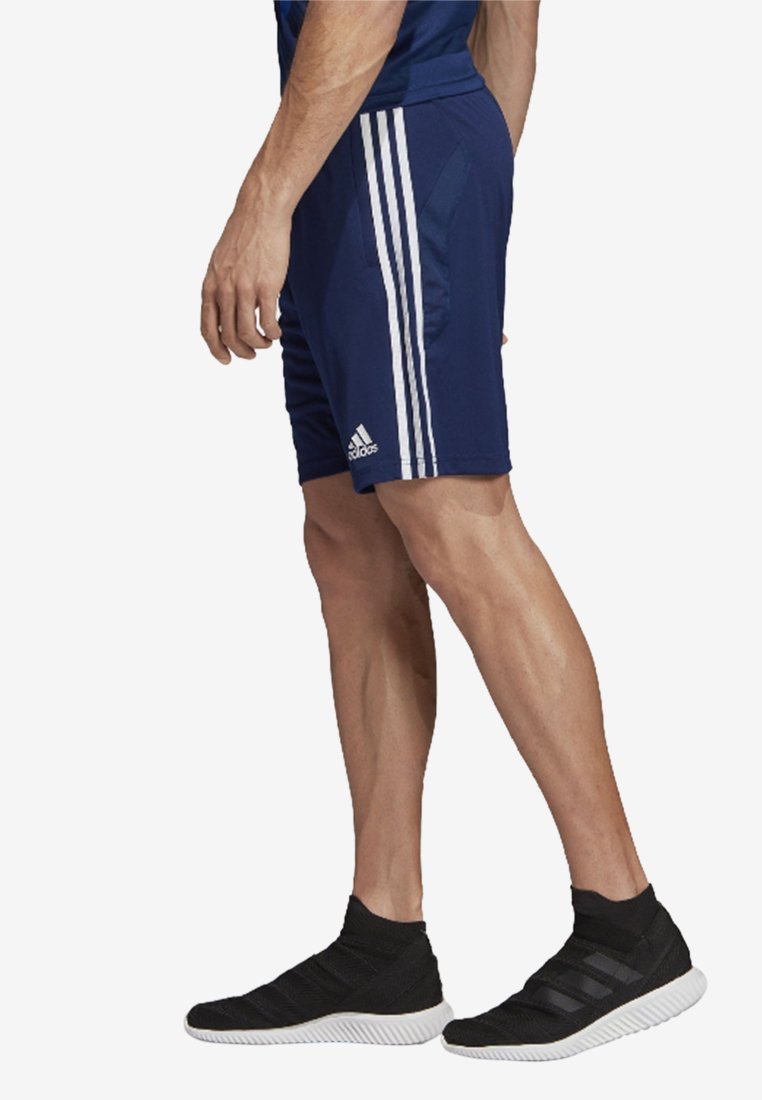adidas Performance TIRO 19 AEROREADY PRIMEGREEN SHORTS - Korte broeken -  blue/Blauw - Zalando.nl