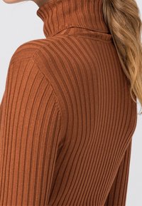 Rippstrick rollkragenpullover in rostbraun, mit hohem Kragen und langen Ärmeln, aus einem weichen Strickstoff hergestellt. Details zur Nahtverarbeitung.